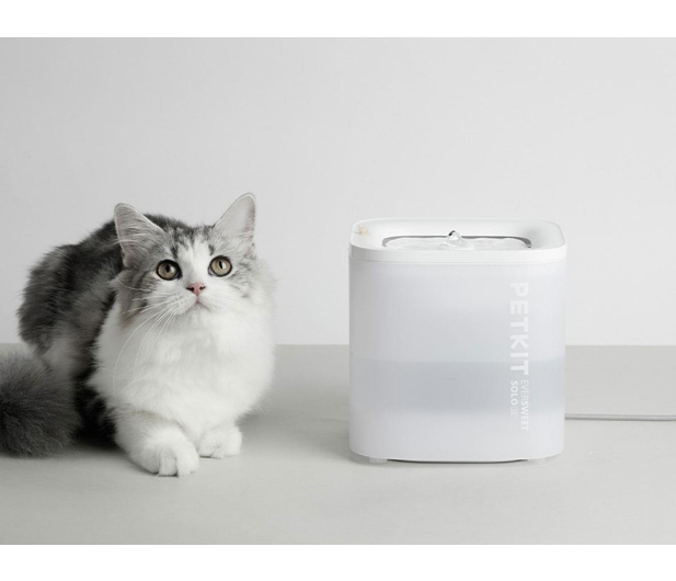 PetKit Eversweet SOLO SE inteligentne poidło dla psa i kota białe - 1328982 - zdjęcie 4